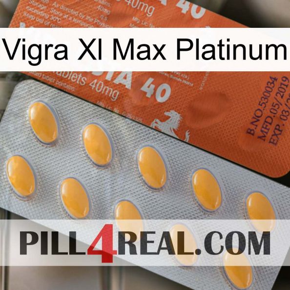 Vigra Xl Max Platinum 43.jpg